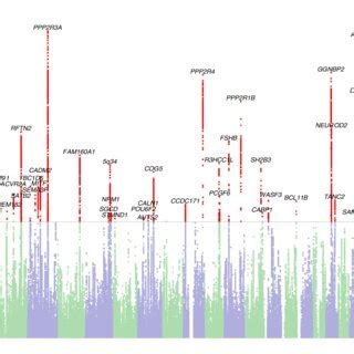 Manhattan Plot Of The Genome Wide Association Analysis Of Dyslexia