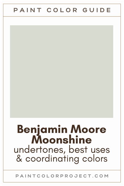 Benjamin Moore Moonshine: a complete color review - The Paint Color Project 
