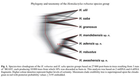 Species New to Science: [Herpetology • 2015] Systematics and Biodiversity Multilocus Phylogeny ...