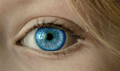 ¿qué Color De Ojos Es El Más Raro Del Mundo