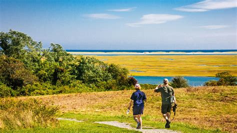 The Best Hikes In Cape Cod Lonely Planet