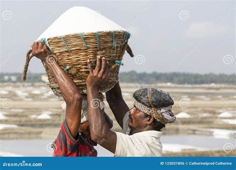 Worker Carrying Wooden Baskets Full Of Salt On The Head And Walking On