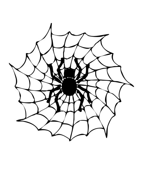 Free Printable Spider Coloring Pages