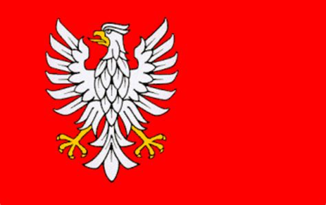 Polish Flag Bird - ClipArt Best