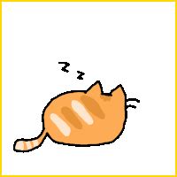 Sleeping Cat GIFs | Tenor