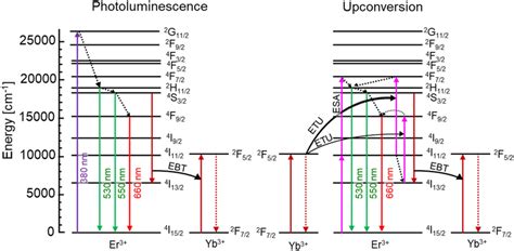 Energy Level Diagram Of Yb³⁺ And Er³⁺ Ions And Pl And Uc Emission