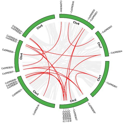 Agriculture Free Full Text Pan Genome Wide Identification And