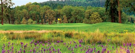 Mallard Creek Golf Course | Explore Oregon Golf