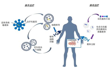 基因疗法行业研究报告：制药企业必须争取潜在的轨道 试药员招聘与临床试验信息平台