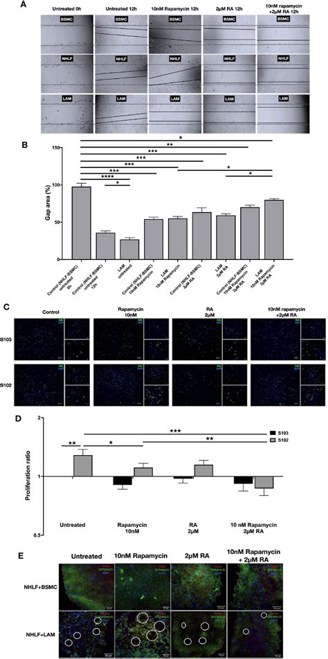 Frontiers Normalization Of Enzyme Expression And Activity Regulating