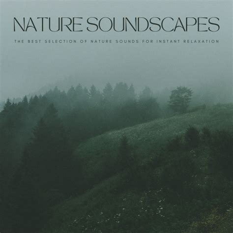 Nature Soundscapes The Best Selection Of Nature Sounds For Instant