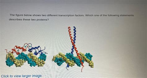 Solved The Figure Below Shows Two Different Transcription Chegg