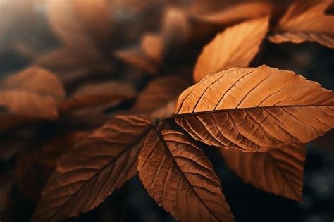 Premium AI Image | autumn leaves on a dark background