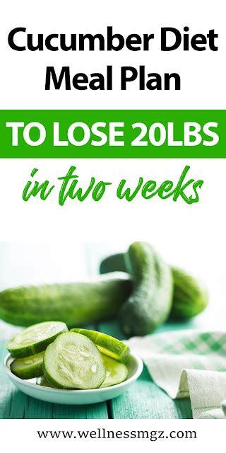 Cucumber Diet To Lose Weight What You Need To Know Wellness Magazine