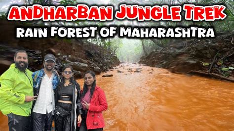 Andharban Jungle Trek Dense Forest Rain Forest In Maharashtra