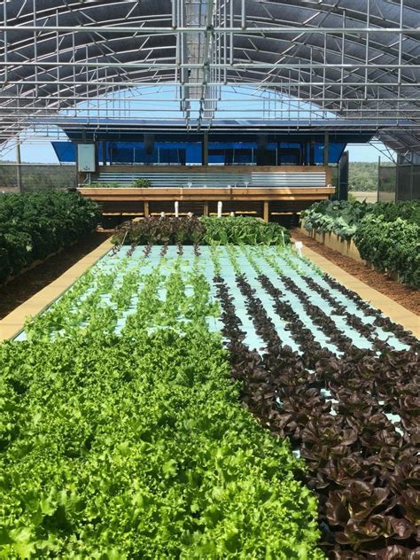 Clermont Florida Aquaponic Farm – Sullivan Road Farm LLC