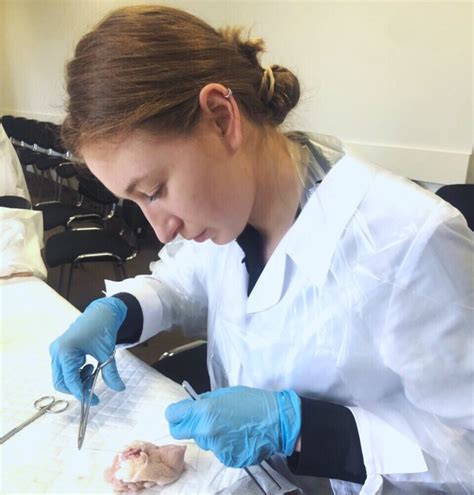 Training Was Held On The Topic Breaks Of The Anal Sphincter And Rectum In Obstetrics Kyiv