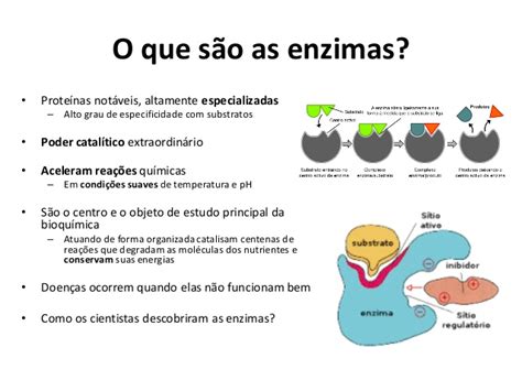 Biologicamente Falando Enzimas