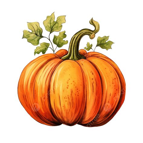 Pumpkin Png Autumn Thanksgiving Fall Pumpkin Png Autumn Thanksgiving