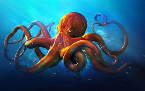 Octopus Desktop Wallpapers - Top Free Octopus Desktop Backgrounds ...