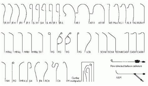 Cardiac Catheterization And Intervention Thoracic Key