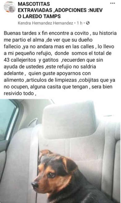 No Llores” La Desgarradora Reacción De Covito El Perro Que Esperaba A Su Dueño Fallecido De