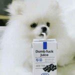 Dumb Fuck Juice Meme Generator Imgflip