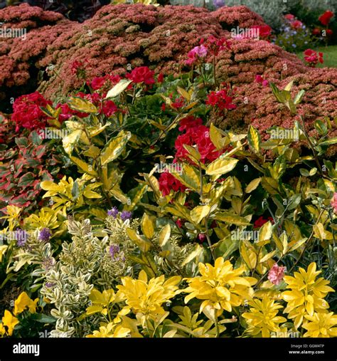 Hebe Border Hi Res Stock Photography And Images Alamy