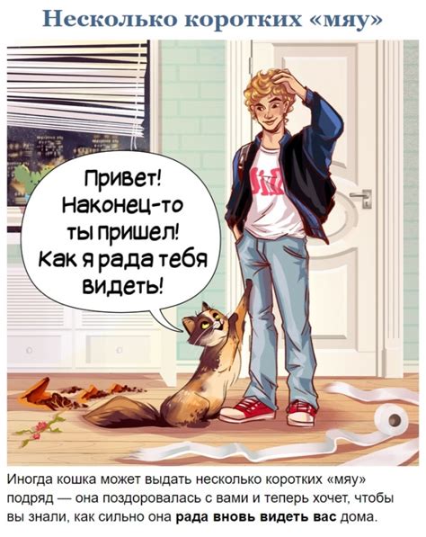 Hecкoлькo звyкoв, кoтopыe издaeт вaш кoтик, и чтo oни oзнaчaют