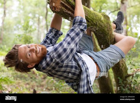 Happy Man Hugging Tree Bark Stock Photo Alamy