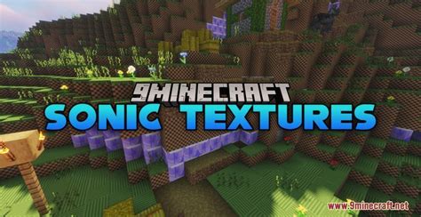 an image of the sonic textures in minecraft