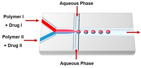 Genes Free Full Text Microfluidic Devices For Drug Delivery Systems