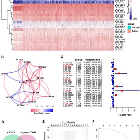 Establishment Of The Prognostic Gene Signature Model A The Heatmap Of