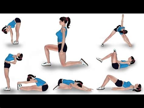 Stretching Exercises For Low Back Pain With Pictures – Online degrees