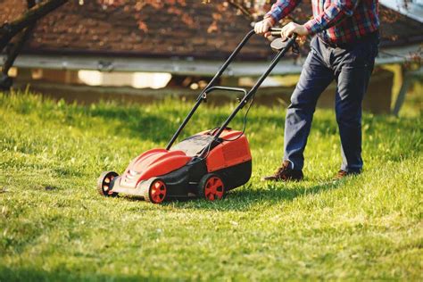 What Is A Lawn Leveling Rake Your Ultimate Guide Patio Garden Care