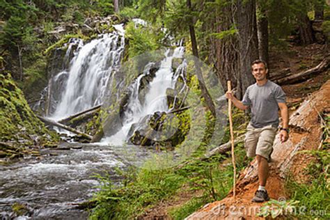 Hiking in the Oregon Forest Stock Photo - Image of beauty, hiking: 45772606