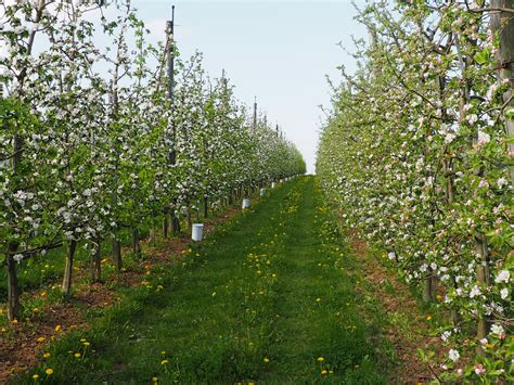 Naturland Hof Vilser Aus Der Region Donauwald