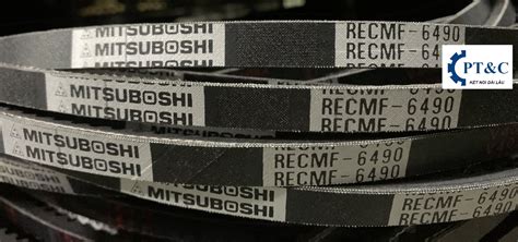 day curoa recmf hieu mitsuboshi japan day coroa  rang