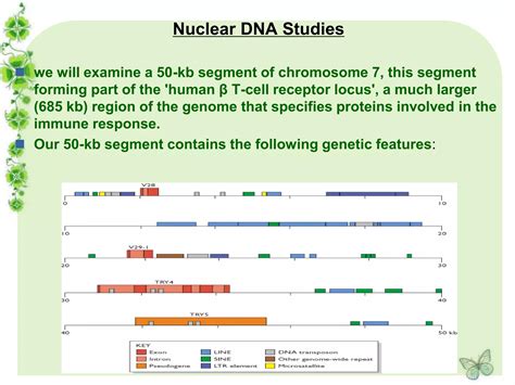 Human Genome Project By Kk Sahu Ppt