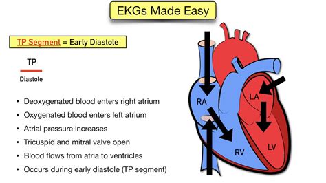 ECG Waveform Explained: EKG Labeled Diagrams And Components, 46% OFF