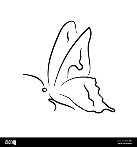 Beautiful butterfly sitting, side view, ink outline Stock Vector Image ...