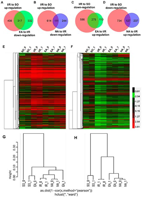 Rna Seq Of Human T Cells After Hematopoietic Stem Cell 54 Off