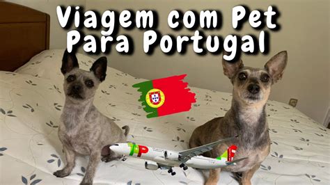 Como Levar seu Pet para Portugal Dicas Informações Pet na Cabine e