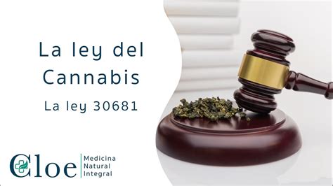 La Ley Del Cannabis Medicinal ¿te Gustaría Conocer La Ley 30681 Youtube