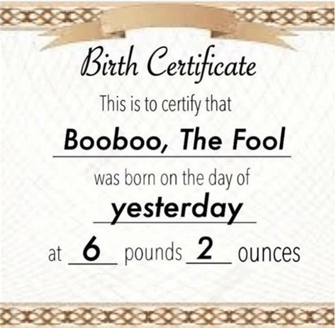 Boo Boos Birth Certificate Boo Boo The Fool Know Your Meme