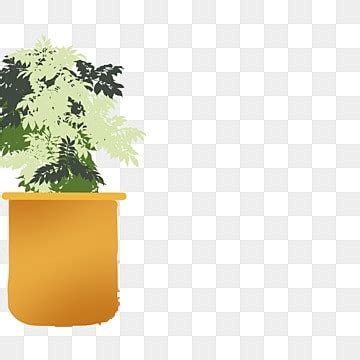 Plantas En Macetas Png Plantas Verdes Planta Plantas En Macetas Png