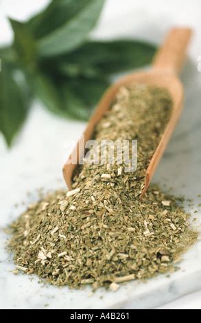 Yerba Mate Dried Leaves Ilex Paraguariensis Mate Dry Sheets Ilex