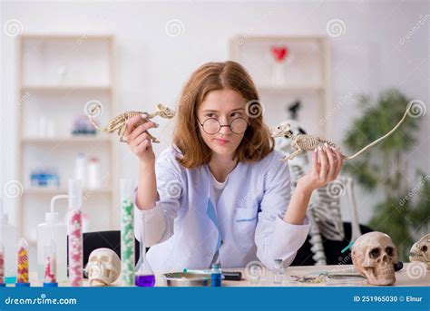 Young Female Zoologist Working At The Lab Stock Photo Image Of