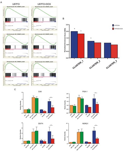 C Myc Regulates Hif1a Transcription Activity A Gsea Of The Three