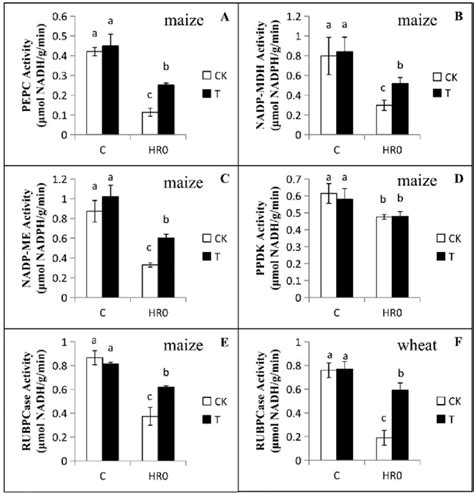 Effects Of Exogenously Supplied Trehalose On The Key Enzymes In